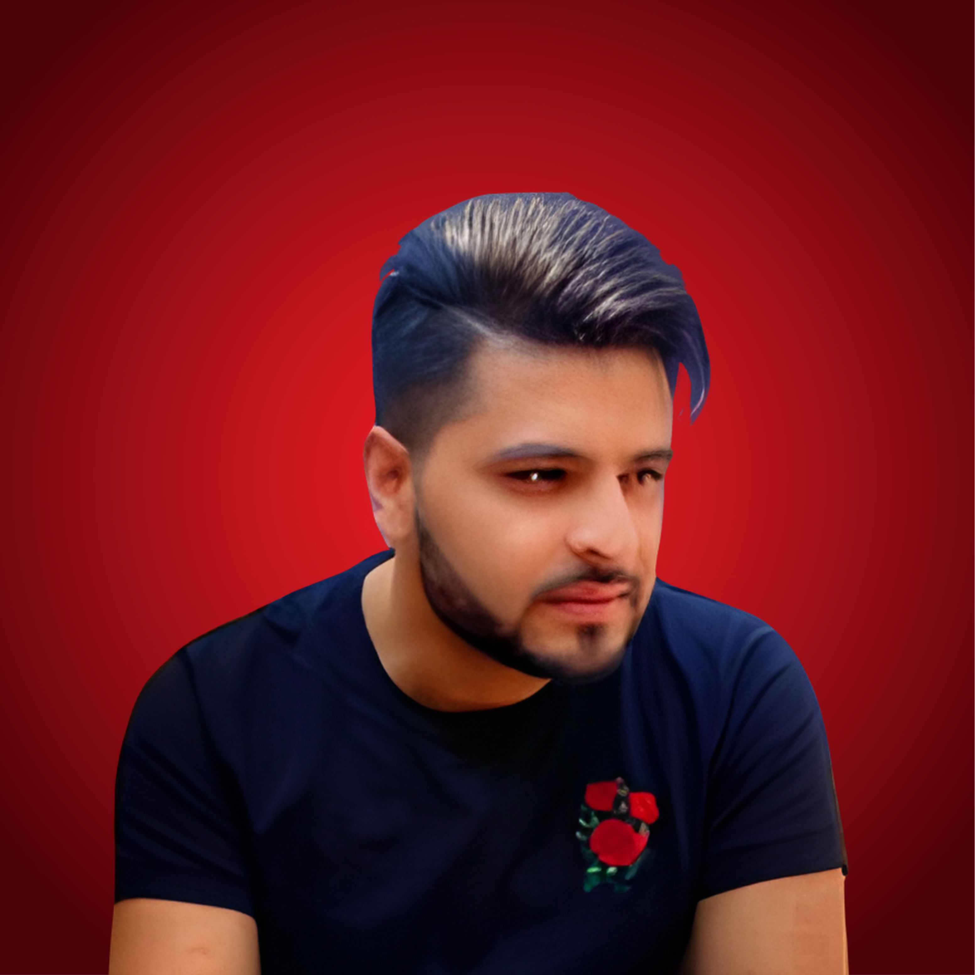 Best Digital Marketing Course in Rohini