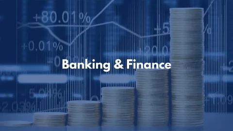 finance & banking